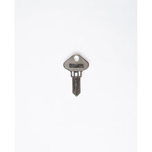 Load image into Gallery viewer, ROLL UP ASSORTED