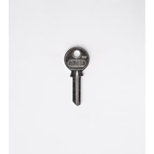 Load image into Gallery viewer, RABBIT MED L/R. HCS
