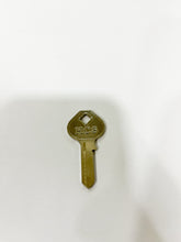 Load image into Gallery viewer, MASTER US RIGHT
